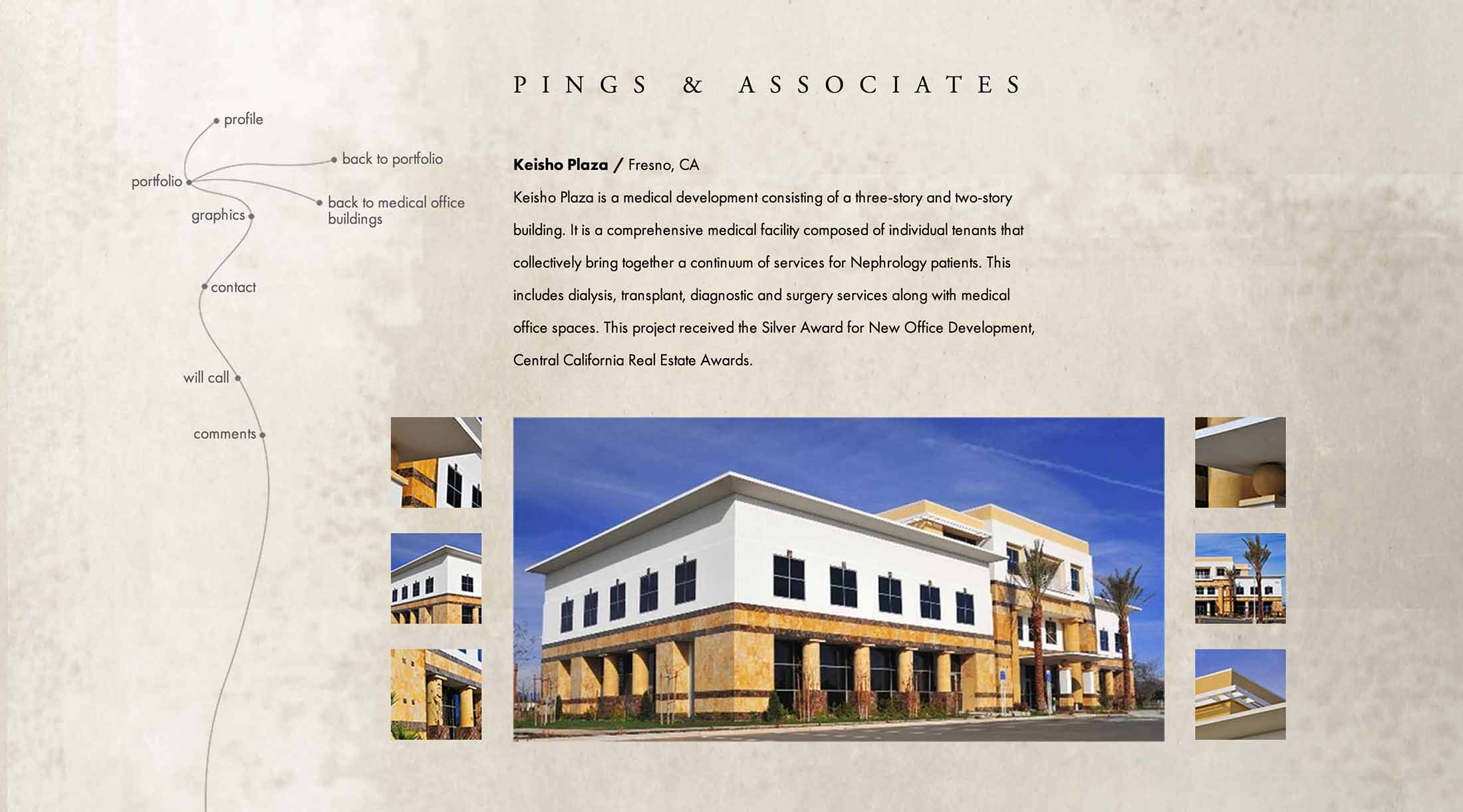 Screen shot of the Pings Wordpress web site by Lee Powers