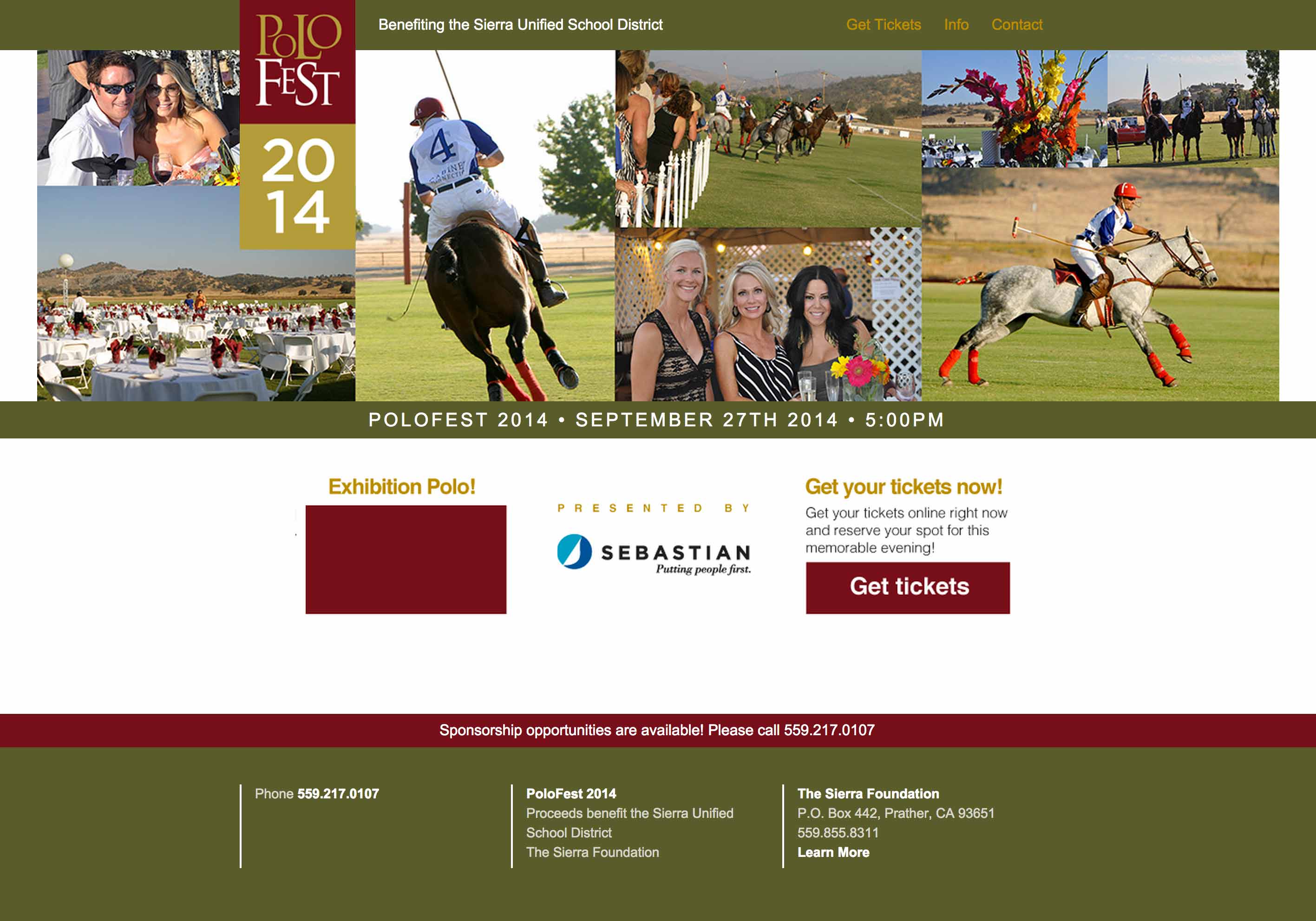 Screen shot of the Polofest web site by Lee Powers.